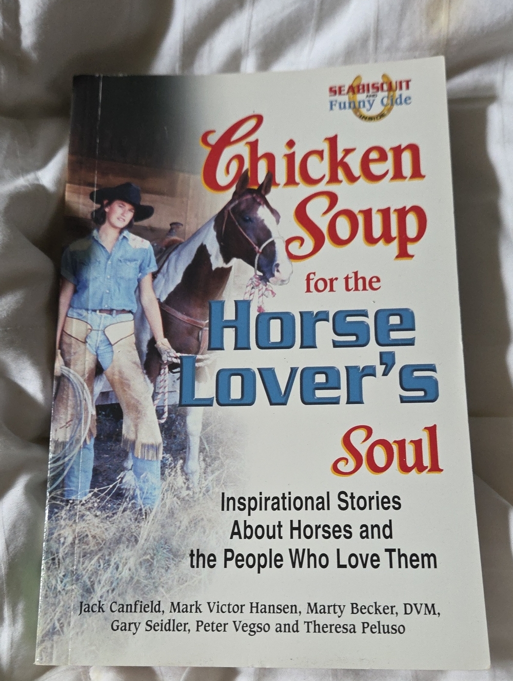 Chicken Soup For The Horse Lovers Soul